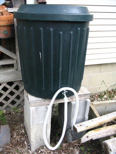 but I'm nonetheless happy to see the $1.79 rain barrel credit on my quarterly water bill.