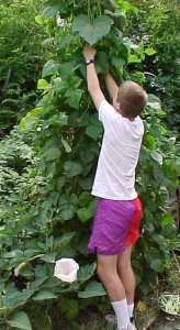 Teenager in the garden
