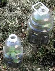 Do It Yourself Cloches