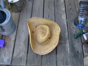 Broken Straw Hat