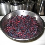 Serviceberries in colander