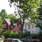 Dead Tree marked for removal