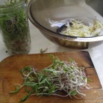 Bean Sprouts on a cutting board