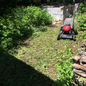 After 20 minutes with a mower and a bit of hand weeding, the rustic contours of this area emerged.