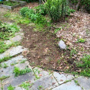 The gravel path entrance after "20-ish" minutes of weeding.